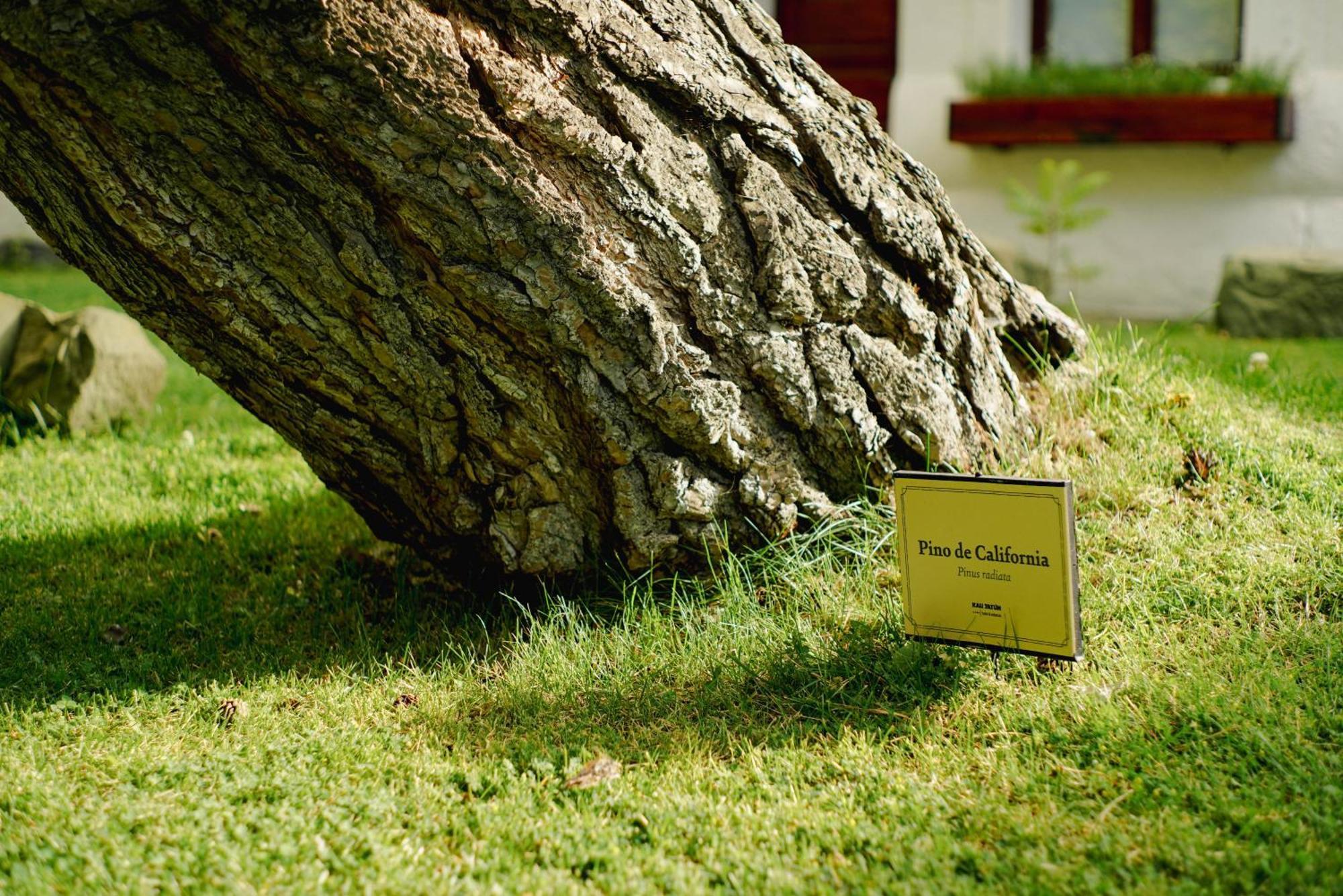 Kau Yatun Hotel Boutique Ελ Καλαφάτε Εξωτερικό φωτογραφία